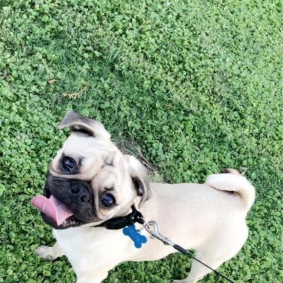 Meet your Posher, Cindy - Picture 1 of 1